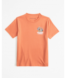 Abercrombie Orange Abercrombie Imagery Back Graphic Tee